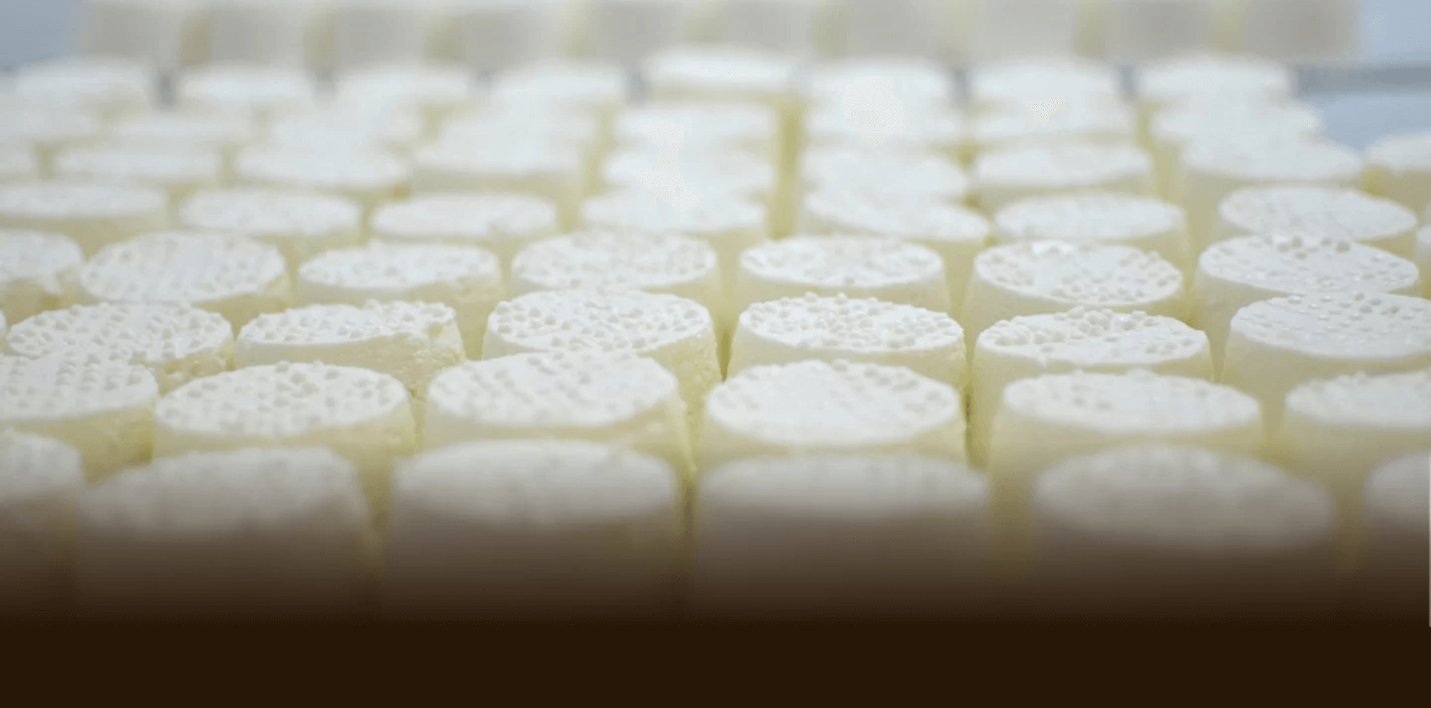 Fournisseur fromagerie France